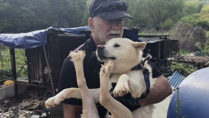 A man rescuing a dog in Korea.