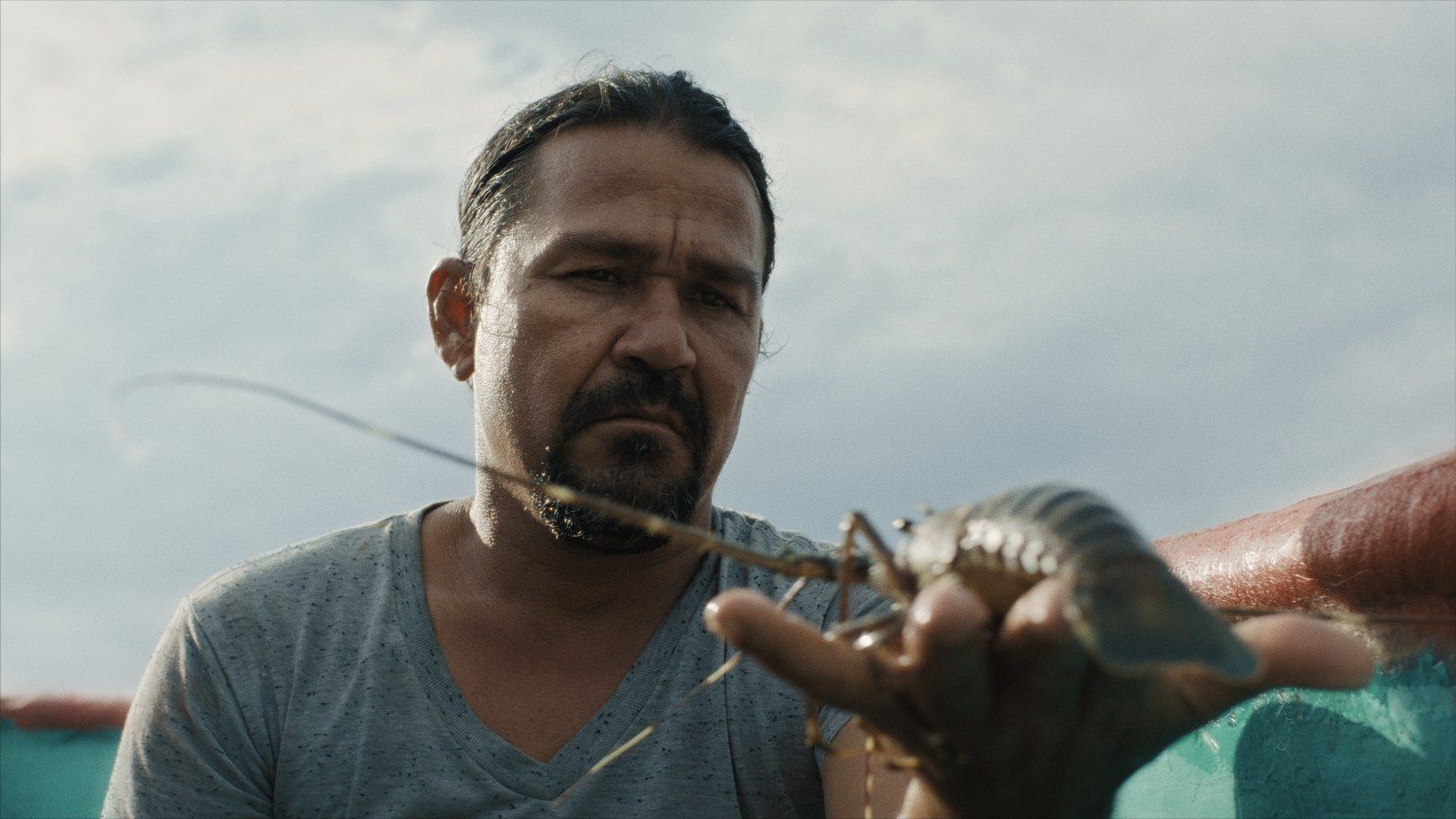 Man looking at a sea creature in Pescador.